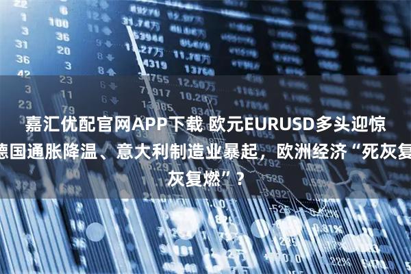 嘉汇优配官网APP下载 欧元EURUSD多头迎惊喜：德国通胀降温、意大利制造业暴起，欧洲经济“死灰复燃”？