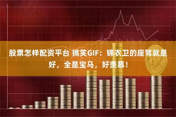 股票怎样配资平台 搞笑GIF：锦衣卫的座驾就是好，全是宝马，好羡慕！