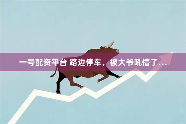 一号配资平台 路边停车，被大爷吼懵了…