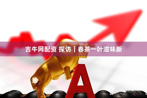 吉牛网配资 探访｜春茶一叶滋味新