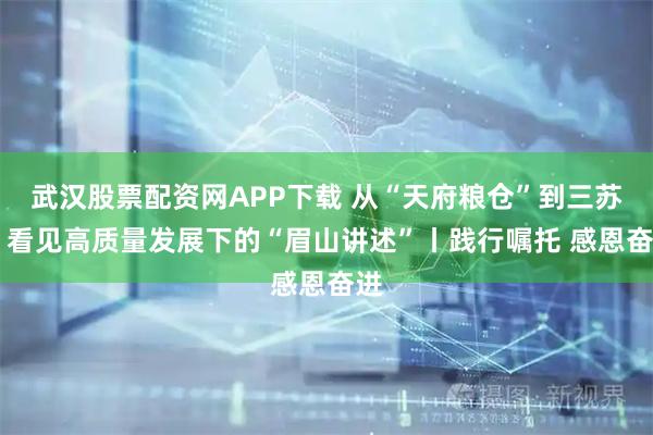 武汉股票配资网APP下载 从“天府粮仓”到三苏祠 看见高质量发展下的“眉山讲述”丨践行嘱托 感恩奋进