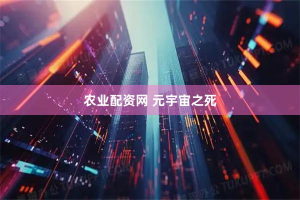 农业配资网 元宇宙之死